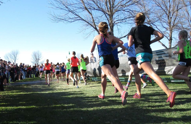 Students running in cross country