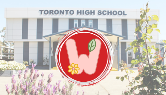 Decorative image - student wellbeing